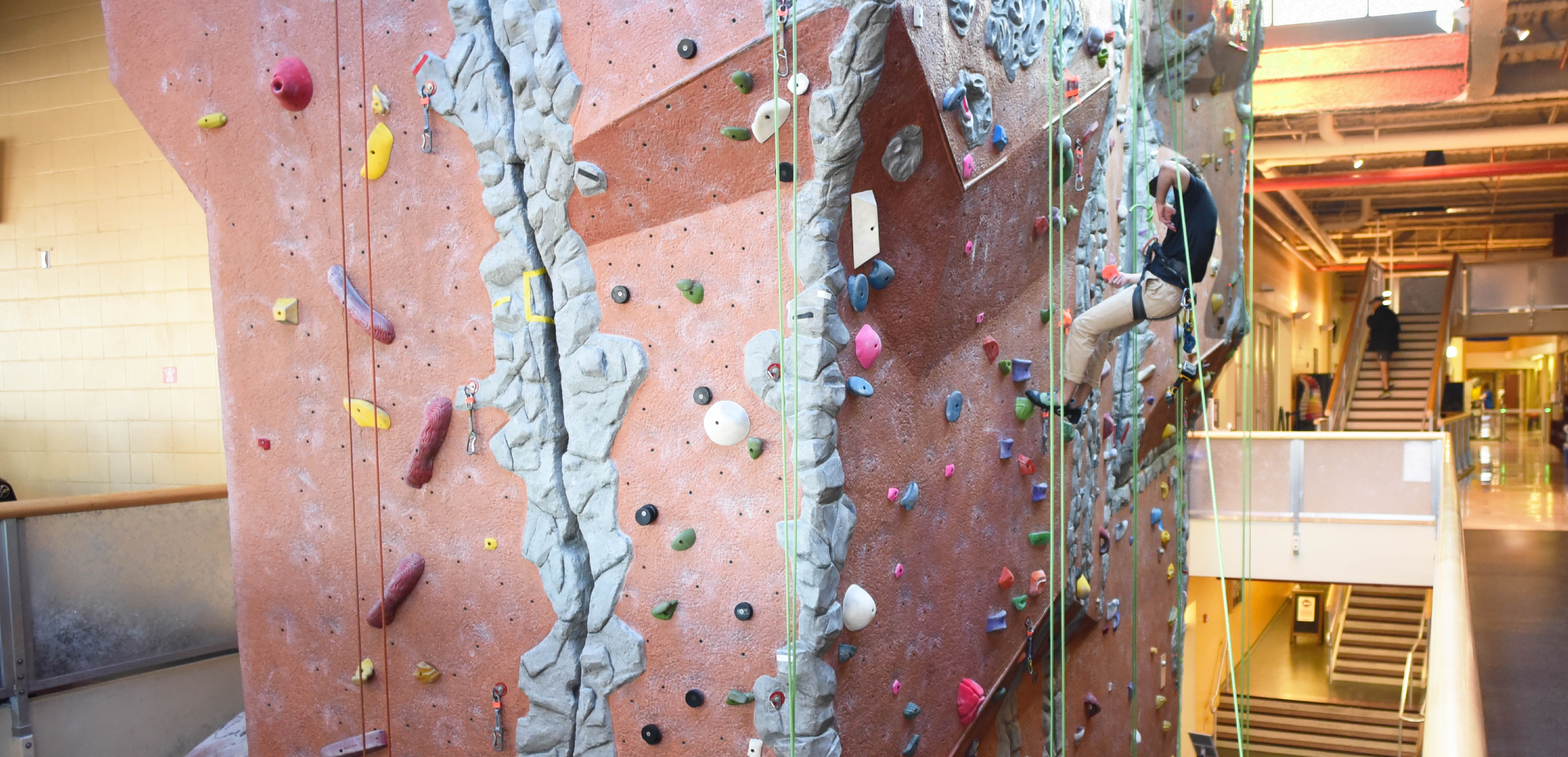 climbing wall with lots of holds